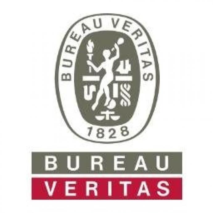 Bureau Veritas logo